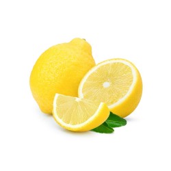 LIMONERO EN MACETA