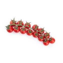 TOMATE CHERRY REDONDO EN MACETA