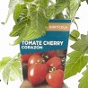 TOMATE CHERRY CORAZÓN MACETA 13CM VERDECORA