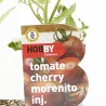 TOMATE CHERRY MORENITO X4 INJERTADO