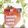TOMATE VALECIANO X6