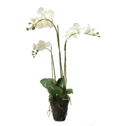 ORQUÍDEA PHALAENOPSIS ARTIFICIAL BLANCA  75CM
