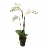 ORQUÍDEA PHALAENOPSIS ARTIFICIAL BLANCA  75CM