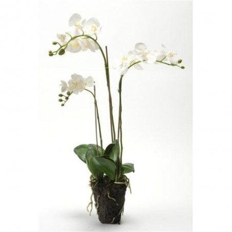 ORQUÍDEA PHALAENOPSIS ARTIFICIAL BLANCA  75CM
