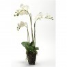 ORQUÍDEA PHALAENOPSIS ARTIFICIAL BLANCA  75CM