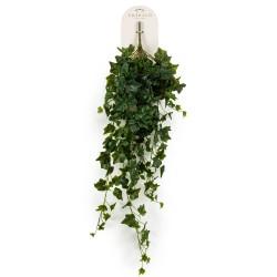 HIEDRA VERDE ARTIFICIAL MATA COLGANTE 100CM