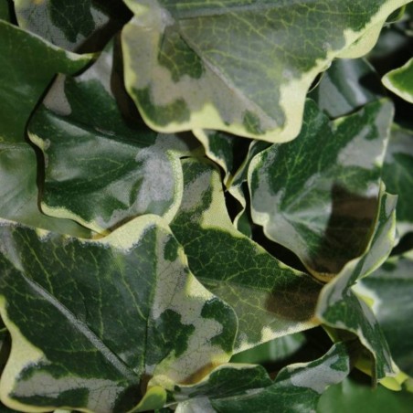 HIEDRA VERDE ARTIFICIAL MATA COLGANTE 100CM