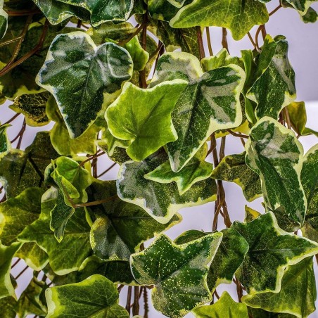 MATA COLGANTE ARTIFICIAL HIEDRA BLANCA/VERDE 120CM