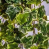 MATA COLGANTE ARTIFICIAL HIEDRA BLANCA/VERDE 120CM