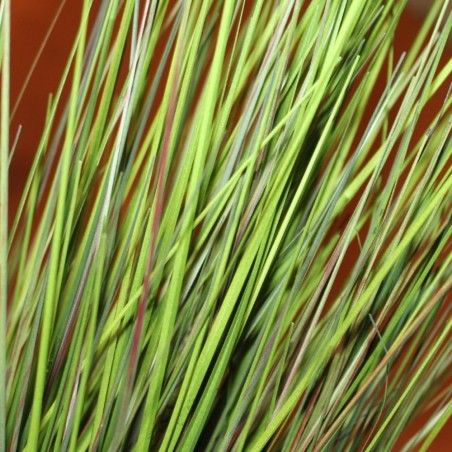 GRAMINEA VERDE ARTIFICIAL 65CM