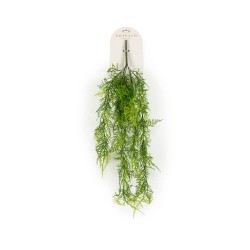 MATA COLGANTE ARTIFICIAL ESPARRAGUERA PLUMOSUS 80CM