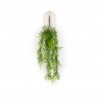 MATA COLGANTE ARTIFICIAL ESPARRAGUERA PLUMOSUS 80CM