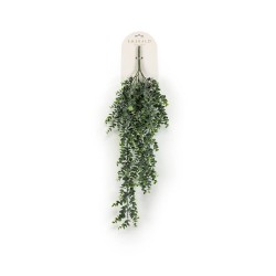 EUCALIPTO ARTIFICIAL MATA COLGANTE 75CM