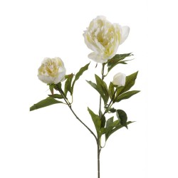TALLO ARTIFICIAL PEONIA CREMA 3 FLORES 70CM