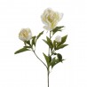 TALLO ARTIFICIAL PEONIA CREMA 3 FLORES 70CM