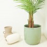 ARECA ARTIFICIAL 180CM EN MACETA