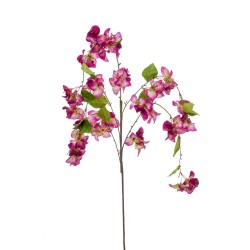 BUGANVILLA MORADA 1.20M TALLO