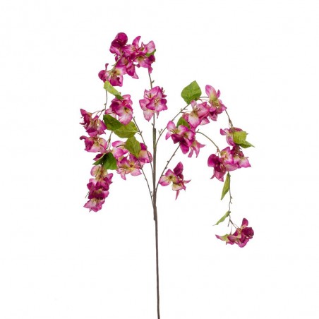 BUGANVILLA MORADA 1.20M TALLO