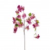 BUGANVILLA MORADA 1.20M TALLO
