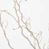 CORYLUS VARIEDADES MACETA 3L