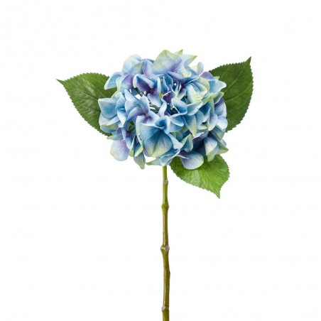 HORTENSIA BEAUTY 47CM AZUL