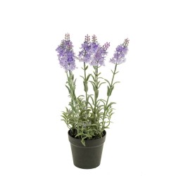 MACETA LAVANDA 28CM