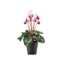 MACETA CYCLAMEN ROSA 30CM