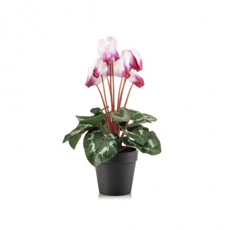 MACETA CYCLAMEN ROSA 30CM