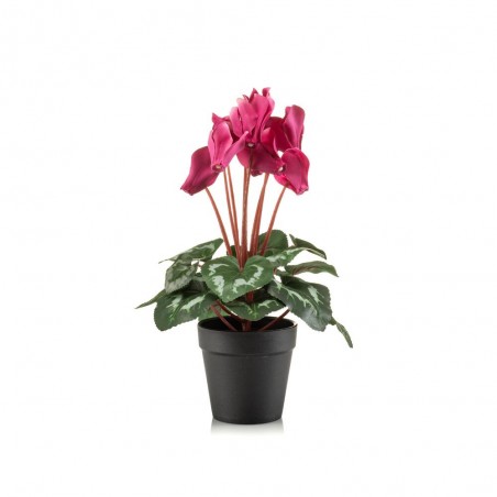 MACETA CYCLAMEN FUCSIA 30CM