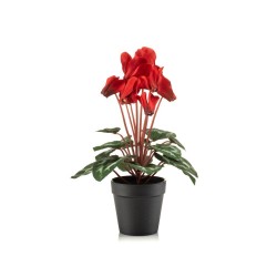 MACETA CYCLAMEN ROJO 30CM