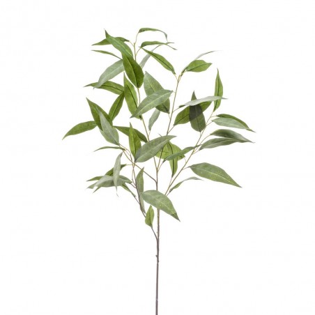 EUCALIPTO GRIS X5 93CM TALLO