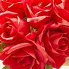 ROSE BUNDLE X9 RED 28CM