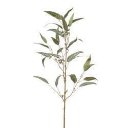 EUCALYPTUS SPRAY W PODS 90CM