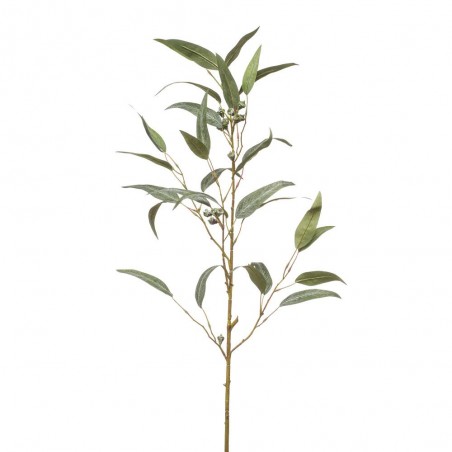 EUCALYPTUS SPRAY W PODS 90CM