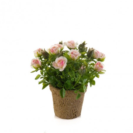MACETA MINI ROSA ROSA 13CM