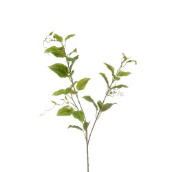 CLEMATIS HOJAS 105CM TALLO
