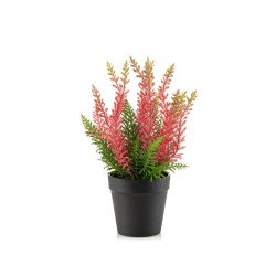 MACETA ERICA ROSA 29CM