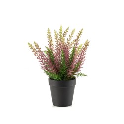 MACETA ERICA PURPURA 29CM