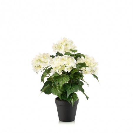 MACETA HORTENSIA BLANCA 40CM