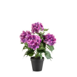 MACETA HORTENSIA FUCSIA 40CM