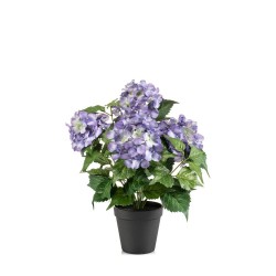 MACETA HORTENSIA PURPURA 40CM