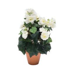 MACETA BEGONIA CREMA 30CM