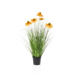 MACETA RUDBECKIA NARANJA 60CM