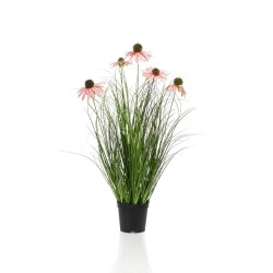 MACETA RUDBECKIA ROSA 60CM