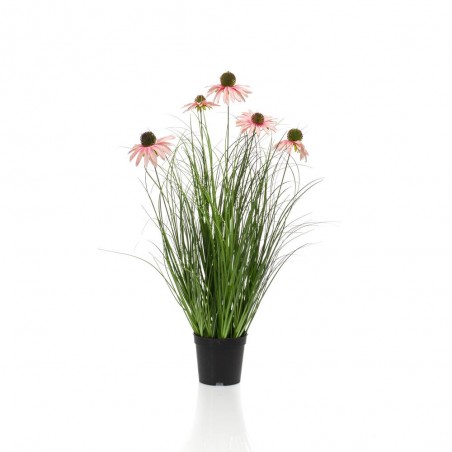 MACETA RUDBECKIA ROSA 60CM
