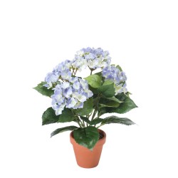 MACETA HORTENSIA AZUL 37CM