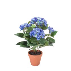 MACETA HORTENSIA AZUL OSCURO 37CM