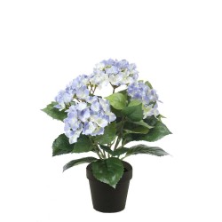 MACETA HORTENSIA CELESTE 40CM