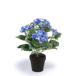 MACETA HORTENSIA AZUL 40CM