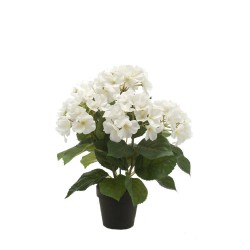 MACETA HORTENSIA CREMA 40CM